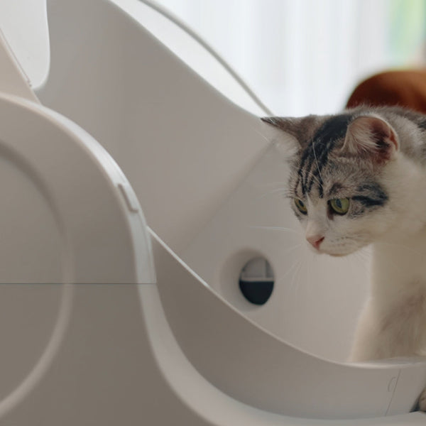 Smart Self-Cleaning Cat Box